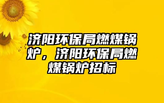 濟(jì)陽環(huán)保局燃煤鍋爐，濟(jì)陽環(huán)保局燃煤鍋爐招標(biāo)