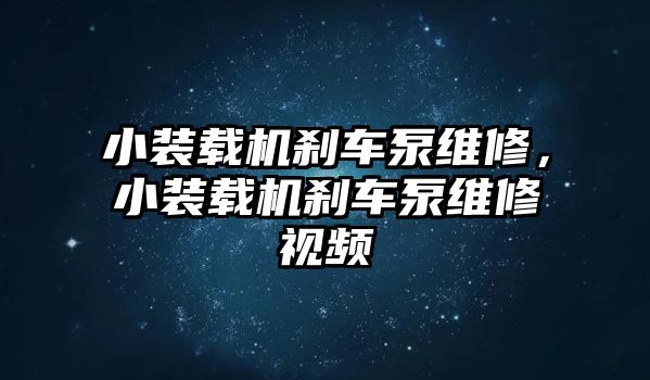 小裝載機剎車泵維修，小裝載機剎車泵維修視頻