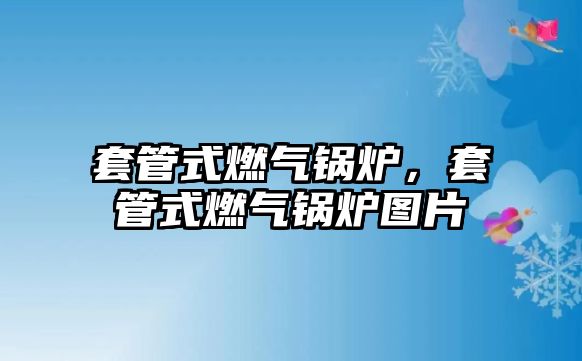 套管式燃?xì)忮仩t，套管式燃?xì)忮仩t圖片