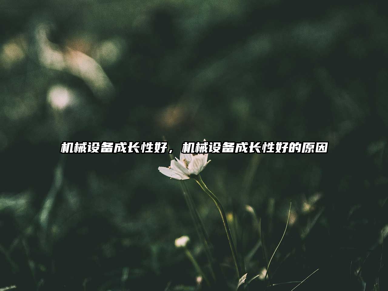 機(jī)械設(shè)備成長(zhǎng)性好，機(jī)械設(shè)備成長(zhǎng)性好的原因