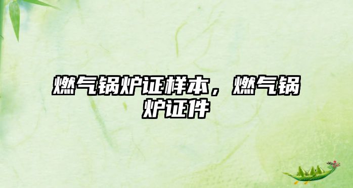 燃?xì)忮仩t證樣本，燃?xì)忮仩t證件