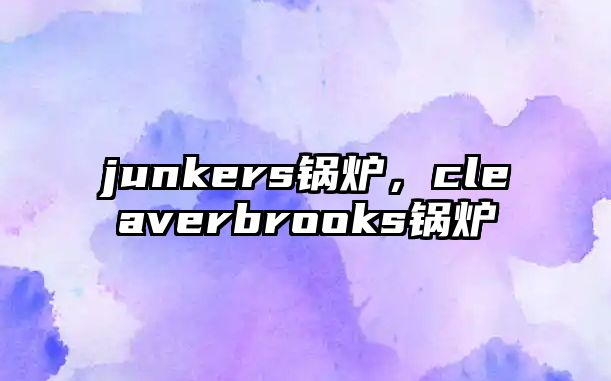 junkers鍋爐，cleaverbrooks鍋爐