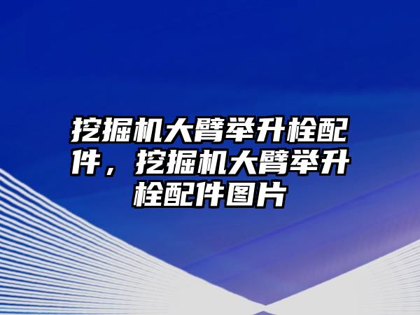 挖掘機大臂舉升栓配件，挖掘機大臂舉升栓配件圖片