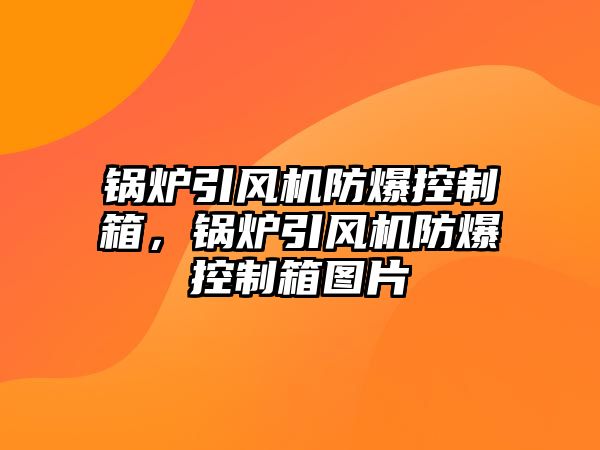 鍋爐引風(fēng)機(jī)防爆控制箱，鍋爐引風(fēng)機(jī)防爆控制箱圖片