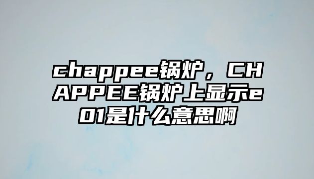 chappee鍋爐，CHAPPEE鍋爐上顯示e01是什么意思啊