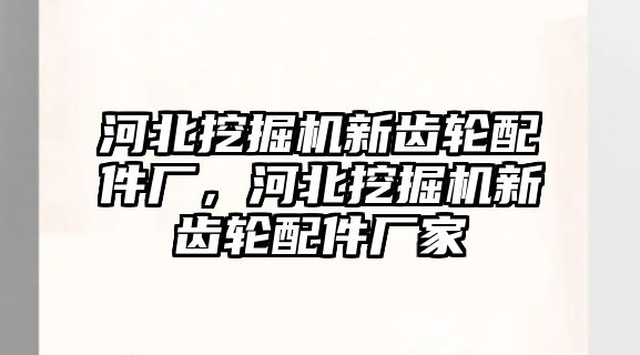 河北挖掘機新齒輪配件廠，河北挖掘機新齒輪配件廠家