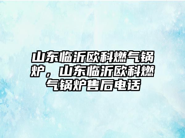 山東臨沂歐科燃?xì)忮仩t，山東臨沂歐科燃?xì)忮仩t售后電話