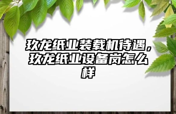 玖龍紙業(yè)裝載機(jī)待遇，玖龍紙業(yè)設(shè)備崗怎么樣