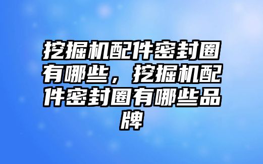 挖掘機(jī)配件密封圈有哪些，挖掘機(jī)配件密封圈有哪些品牌