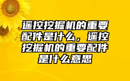 遙控挖掘機的重要配件是什么，遙控挖掘機的重要配件是什么意思