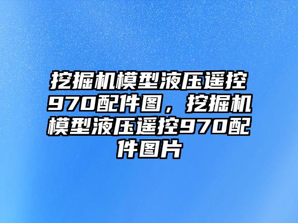 挖掘機(jī)模型液壓遙控970配件圖，挖掘機(jī)模型液壓遙控970配件圖片