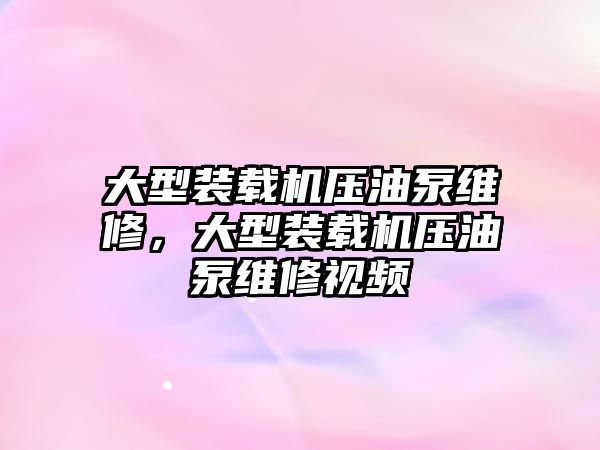 大型裝載機壓油泵維修，大型裝載機壓油泵維修視頻