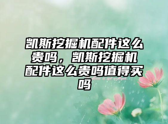 凱斯挖掘機配件這么貴嗎，凱斯挖掘機配件這么貴嗎值得買嗎