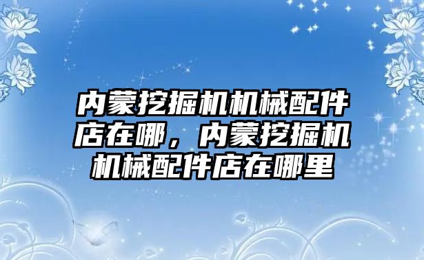 內(nèi)蒙挖掘機機械配件店在哪，內(nèi)蒙挖掘機機械配件店在哪里