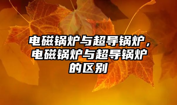 電磁鍋爐與超導鍋爐，電磁鍋爐與超導鍋爐的區(qū)別