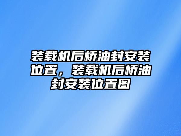 裝載機(jī)后橋油封安裝位置，裝載機(jī)后橋油封安裝位置圖