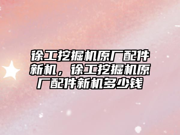 徐工挖掘機原廠配件新機，徐工挖掘機原廠配件新機多少錢