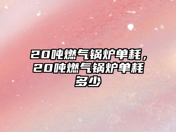 20噸燃?xì)忮仩t單耗，20噸燃?xì)忮仩t單耗多少