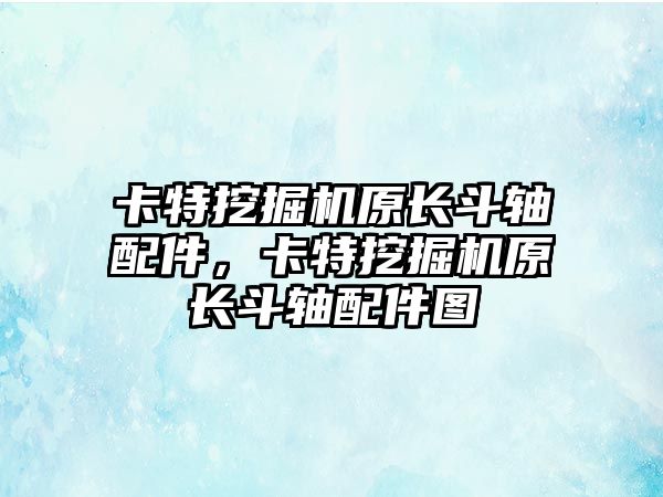 卡特挖掘機原長斗軸配件，卡特挖掘機原長斗軸配件圖