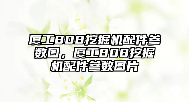 廈工808挖掘機(jī)配件參數(shù)圖，廈工808挖掘機(jī)配件參數(shù)圖片