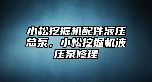 小松挖掘機配件液壓總泵，小松挖掘機液壓泵修理