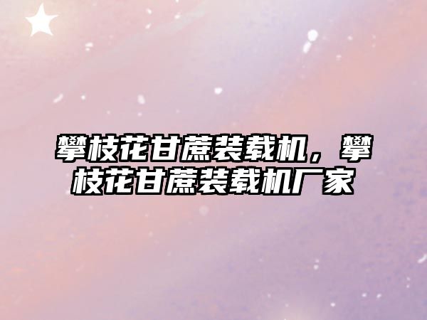 攀枝花甘蔗裝載機，攀枝花甘蔗裝載機廠家