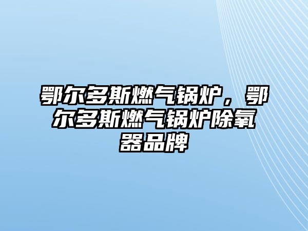 鄂爾多斯燃?xì)忮仩t，鄂爾多斯燃?xì)忮仩t除氧器品牌