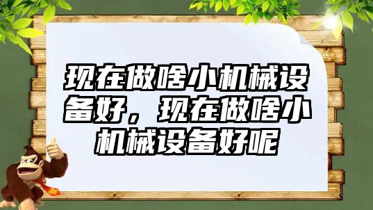 現(xiàn)在做啥小機(jī)械設(shè)備好，現(xiàn)在做啥小機(jī)械設(shè)備好呢