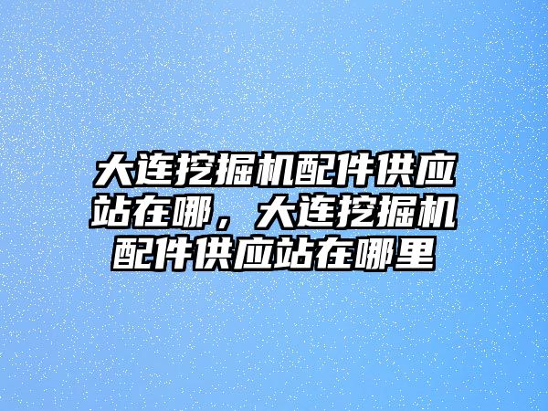 大連挖掘機(jī)配件供應(yīng)站在哪，大連挖掘機(jī)配件供應(yīng)站在哪里