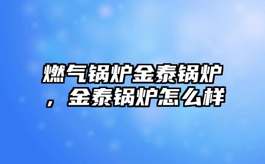 燃?xì)忮仩t金泰鍋爐，金泰鍋爐怎么樣