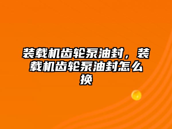 裝載機齒輪泵油封，裝載機齒輪泵油封怎么換