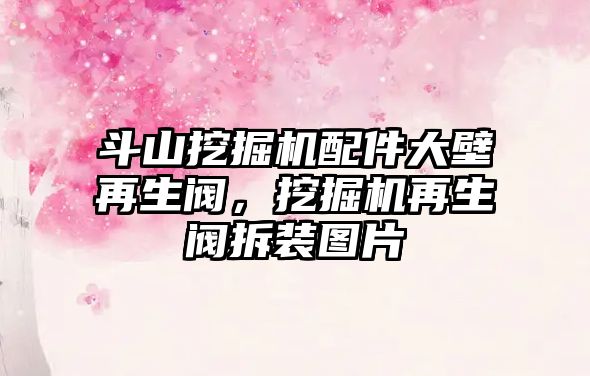 斗山挖掘機配件大壁再生閥，挖掘機再生閥拆裝圖片