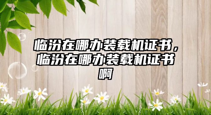 臨汾在哪辦裝載機證書，臨汾在哪辦裝載機證書啊