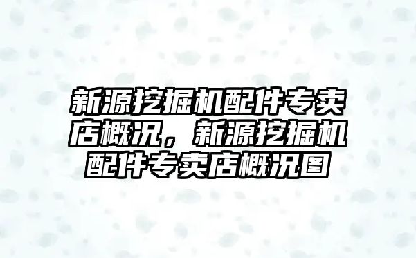 新源挖掘機配件專賣店概況，新源挖掘機配件專賣店概況圖