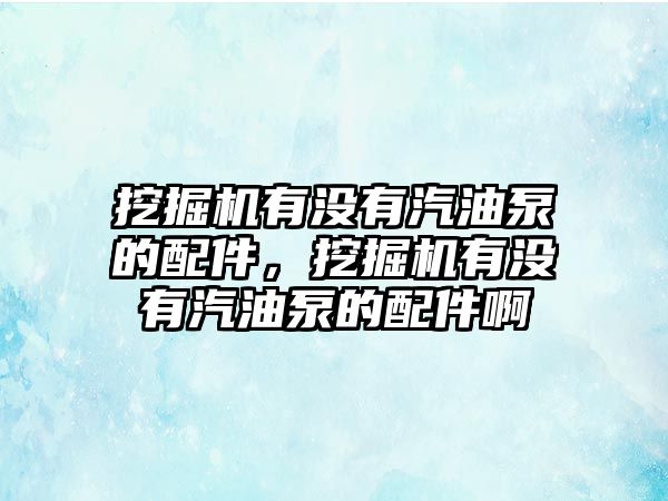 挖掘機有沒有汽油泵的配件，挖掘機有沒有汽油泵的配件啊