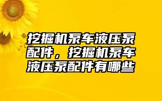 挖掘機泵車液壓泵配件，挖掘機泵車液壓泵配件有哪些