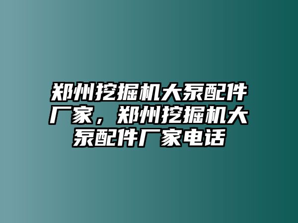 鄭州挖掘機大泵配件廠家，鄭州挖掘機大泵配件廠家電話