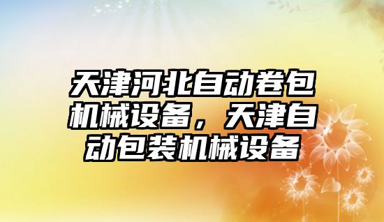 天津河北自動卷包機(jī)械設(shè)備，天津自動包裝機(jī)械設(shè)備