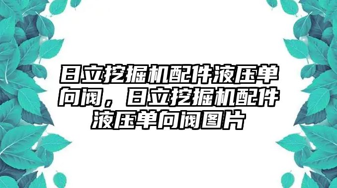 日立挖掘機配件液壓單向閥，日立挖掘機配件液壓單向閥圖片