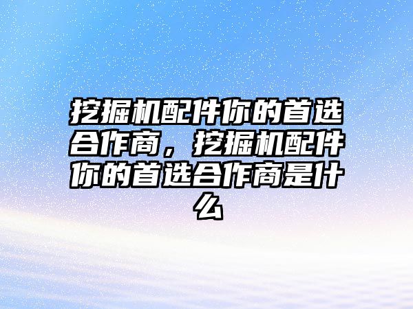 挖掘機(jī)配件你的首選合作商，挖掘機(jī)配件你的首選合作商是什么