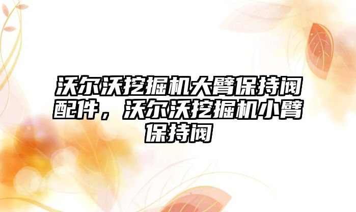 沃爾沃挖掘機大臂保持閥配件，沃爾沃挖掘機小臂保持閥