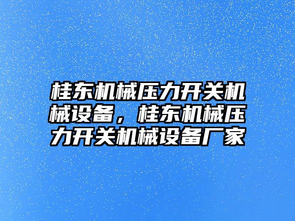 桂東機械壓力開關機械設備，桂東機械壓力開關機械設備廠家