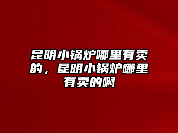 昆明小鍋爐哪里有賣的，昆明小鍋爐哪里有賣的啊