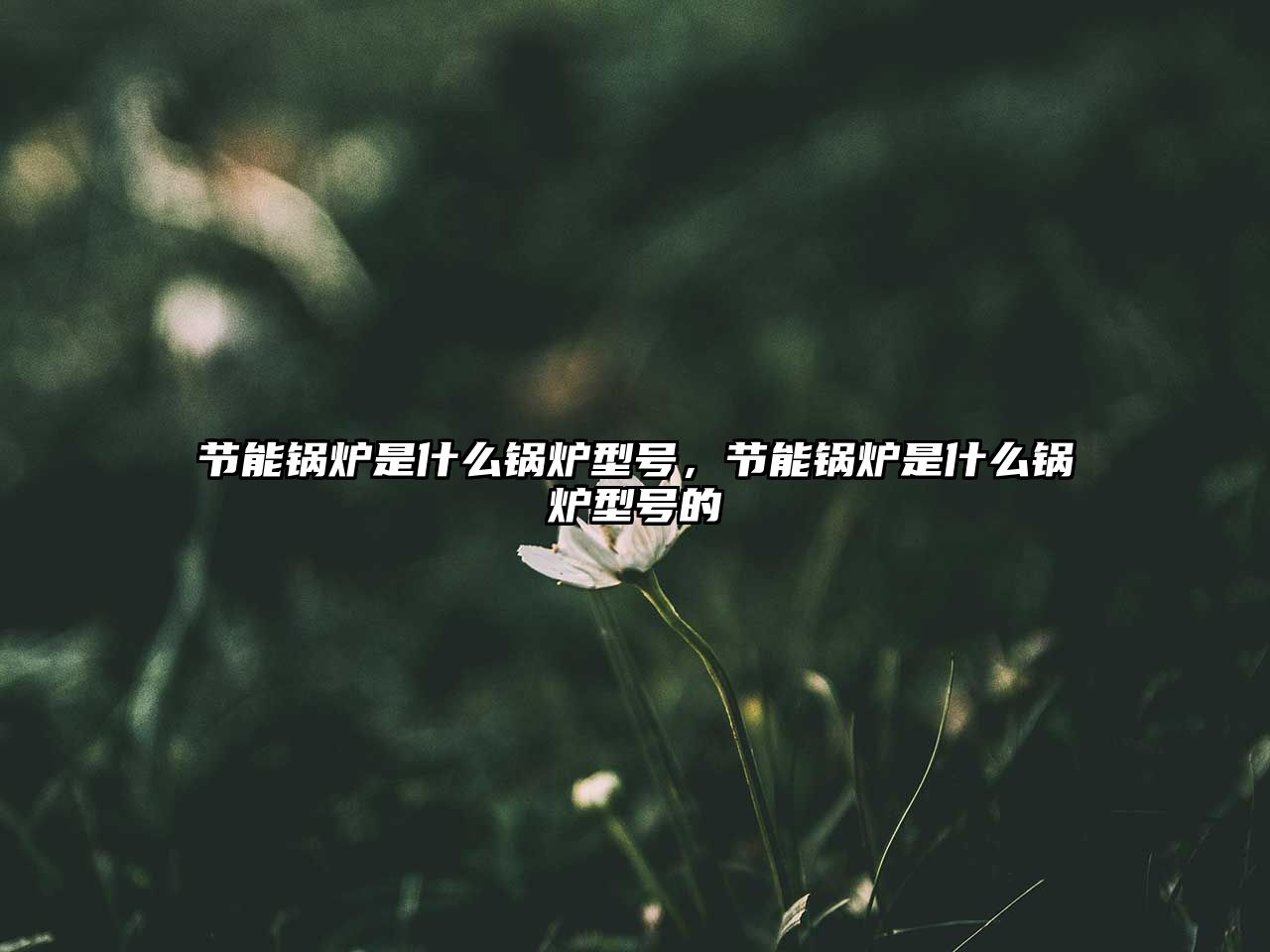 節(jié)能鍋爐是什么鍋爐型號，節(jié)能鍋爐是什么鍋爐型號的