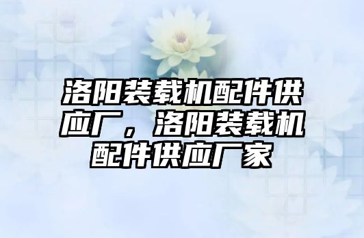 洛陽裝載機配件供應(yīng)廠，洛陽裝載機配件供應(yīng)廠家