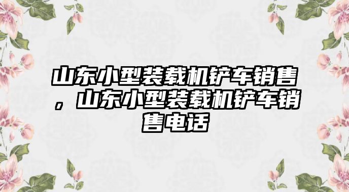 山東小型裝載機(jī)鏟車(chē)銷(xiāo)售，山東小型裝載機(jī)鏟車(chē)銷(xiāo)售電話(huà)