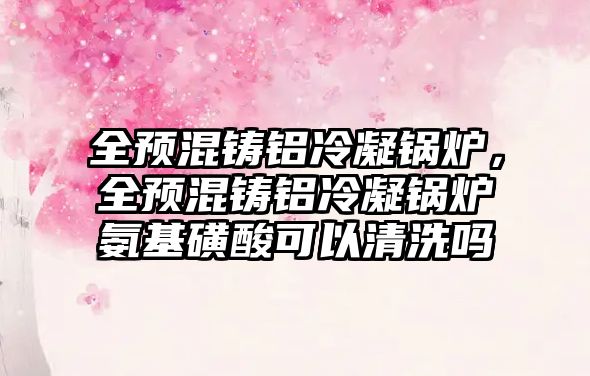 全預混鑄鋁冷凝鍋爐，全預混鑄鋁冷凝鍋爐氨基磺酸可以清洗嗎