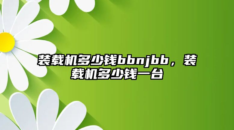 裝載機多少錢bbnjbb，裝載機多少錢一臺