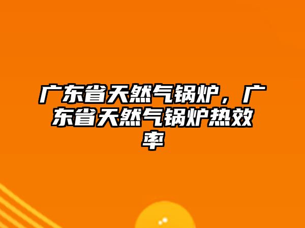 廣東省天然氣鍋爐，廣東省天然氣鍋爐熱效率