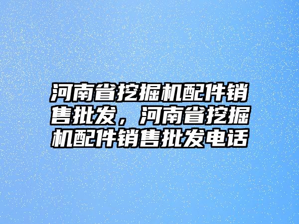 河南省挖掘機(jī)配件銷售批發(fā)，河南省挖掘機(jī)配件銷售批發(fā)電話